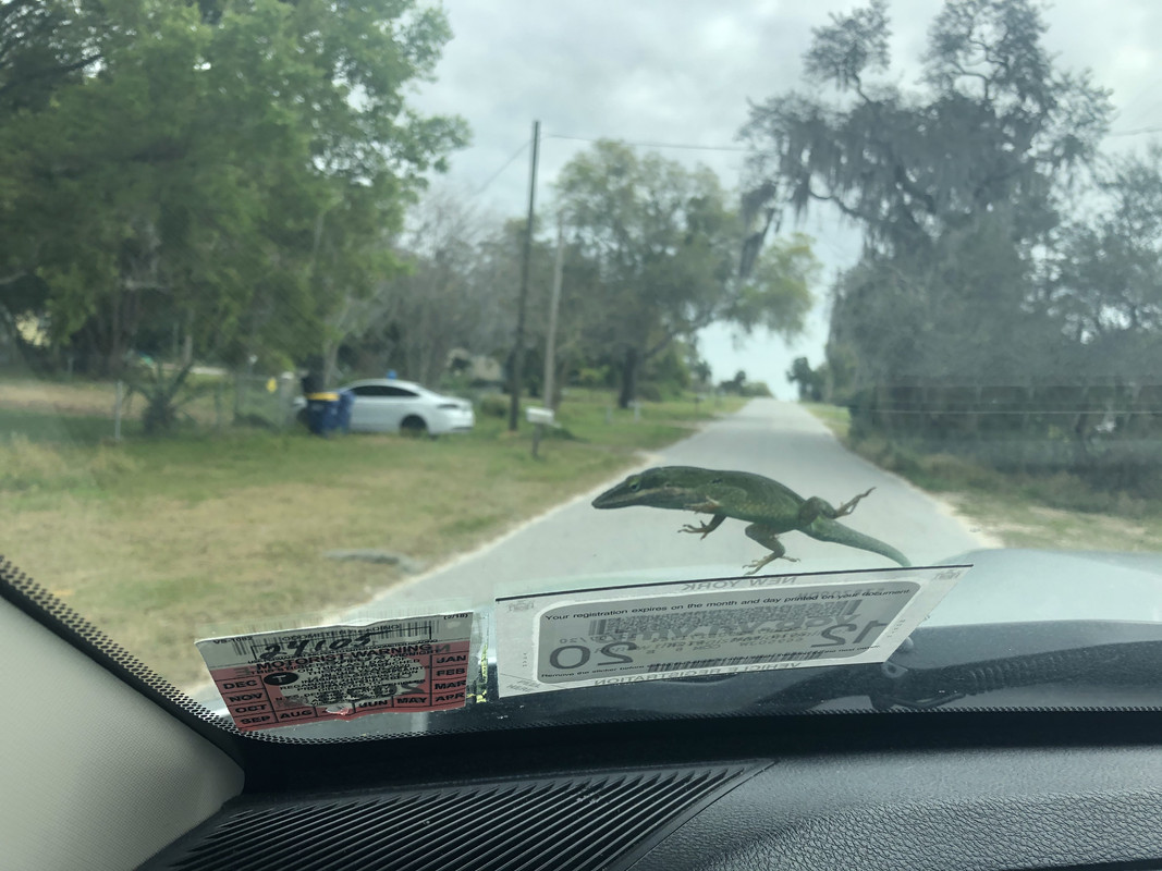 995306F1-7DAF-46E9-A5A3-43679FF0DC10