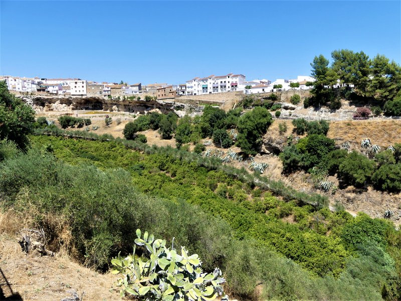 HORNACHUELOS-4-7-2020 - Córdoba y sus pueblos-2017/2020 (12)