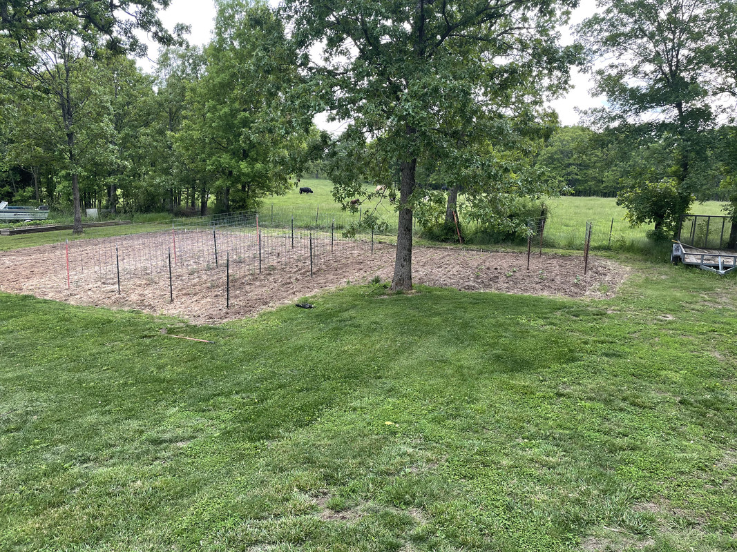 84A6BCA1-B841-45D0-BBD3-2B15132C708B