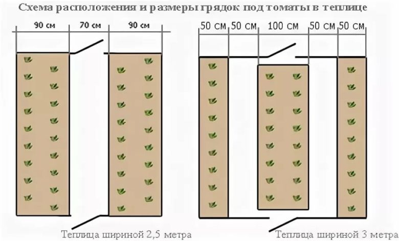 https://i.postimg.cc/ZYVcS6DT/shema-i-pravila-posadki-tomatov-v-teplice-1.jpg