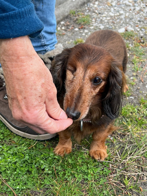 [Image: IMG-20250324-205141.jpg]