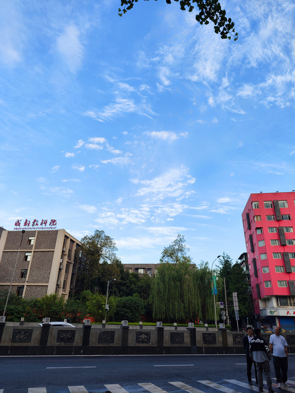 IMG_20230513_064511_副本