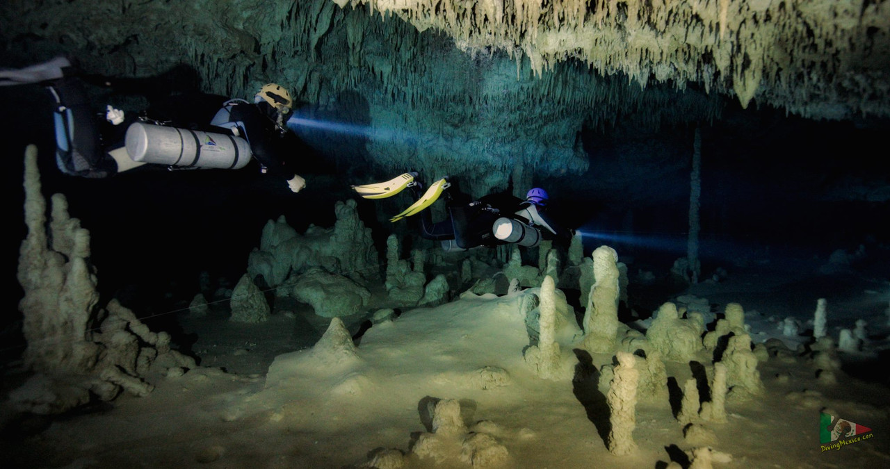 490023363 3896243703970653 3690393103559923694 n