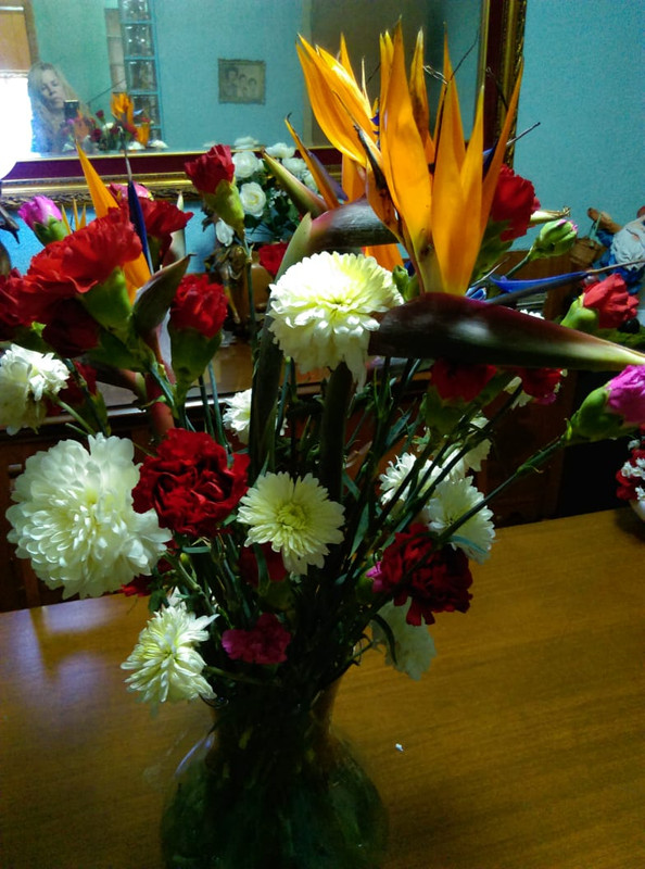 IMG-20191122-WA0007