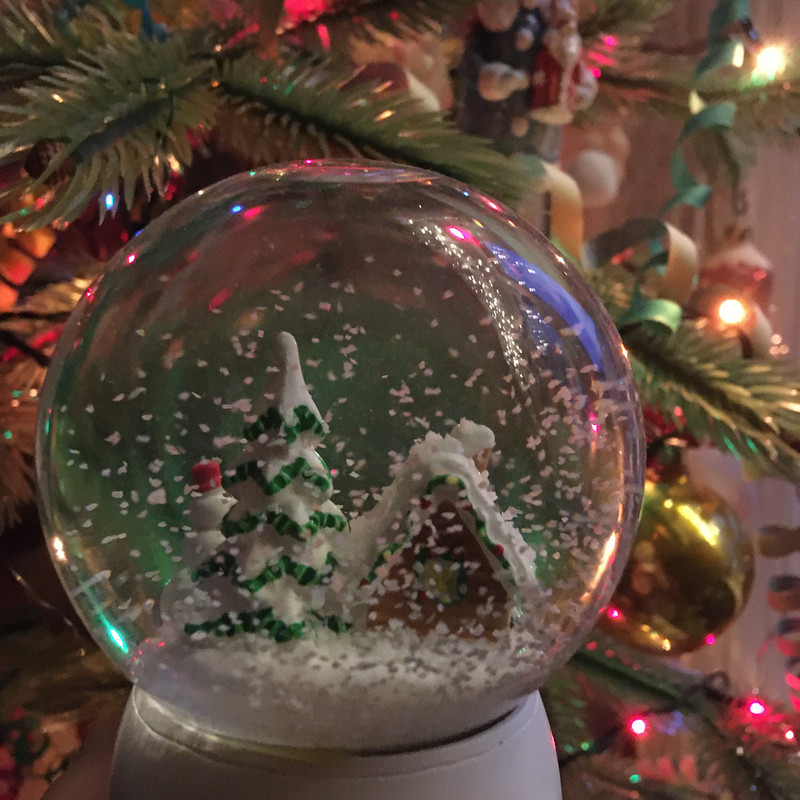 Разное Тимура Фрунзе, 20 Анина и посленовогоднее домашнее 053