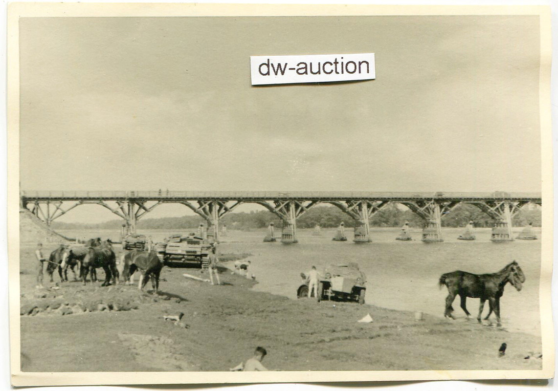 Sturmgeschütz und SdKfz an Fluss , Stug. Abt. 19