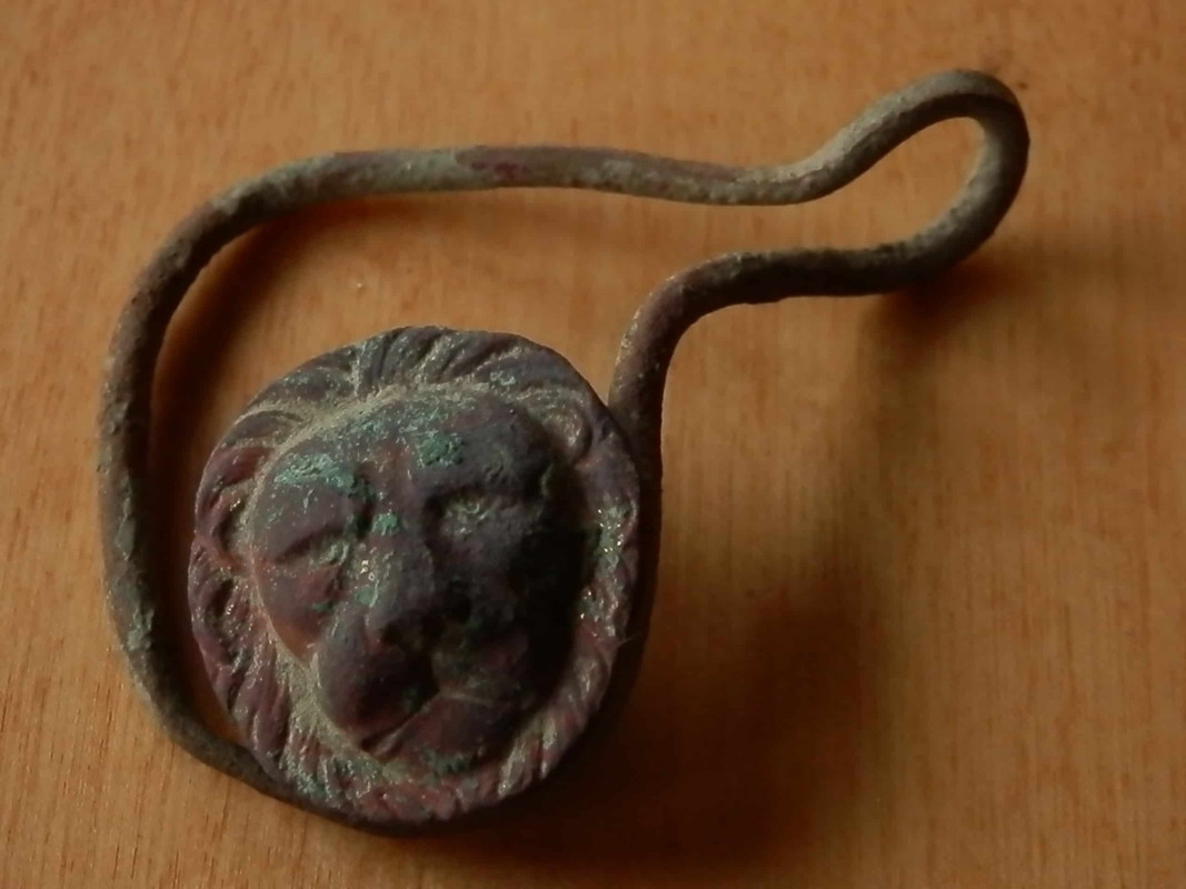 lion