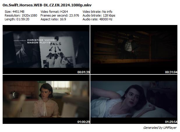 S větrem o závod / On Swift Horses (2024)