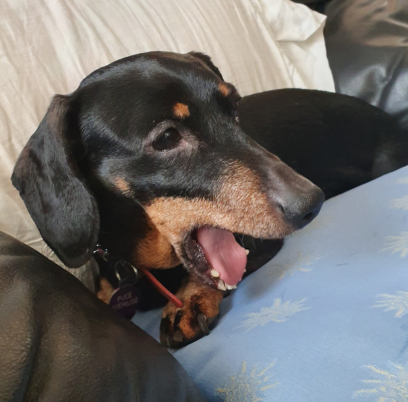 [Image: 20220314-143218.jpg]