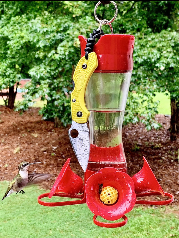 12A5DD6F-B2EE-4565-9C7F-3C6FA852000D