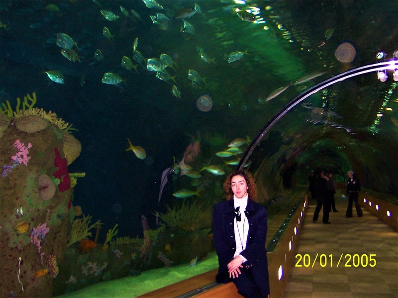 OCEANOGRAFICO-20-1-2005-VALENCIA - Paseando por España-1991/2016 (9)