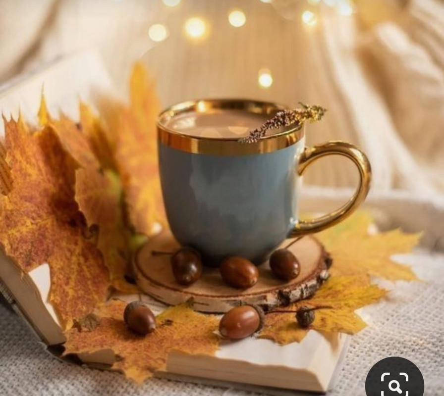 Screenshot_20230905_012833_Pinterest