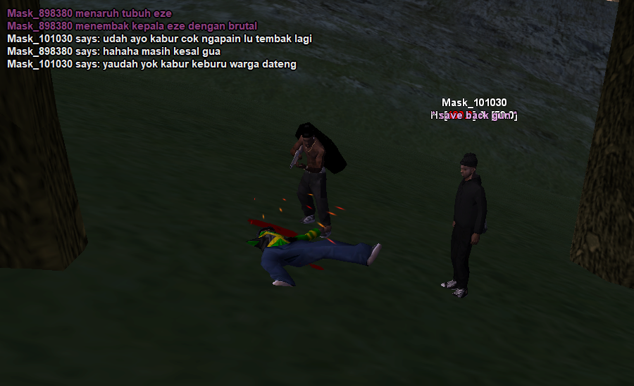 ck13.png