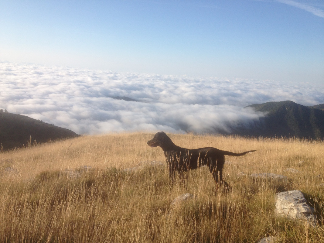 CF93A555-BB8F-49E9-B56B-0A8F798F8041