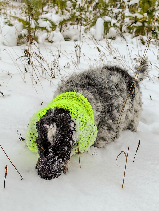 IMG_20231203_152010 (2)