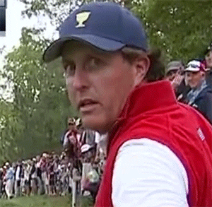 60865-D85-637-D-452-B-9084-E9-D58-E4519-F9.gif