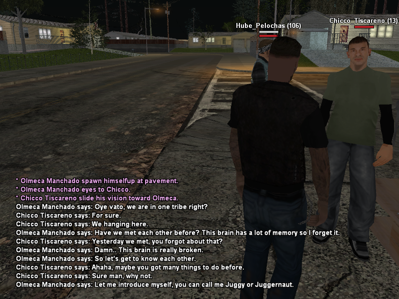 SSRoleplay338.png