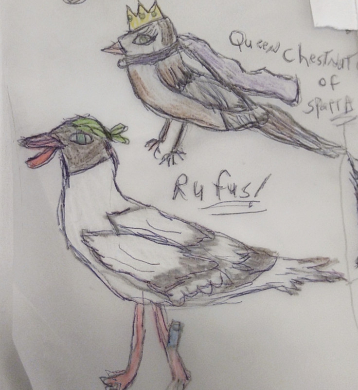 1619808958938-3393e7a2-38c9-4db3-a385-651f697457ae_