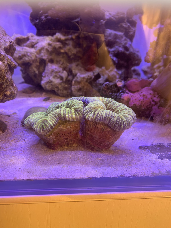 B749E17F-93D7-4496-89B9-15803ACD5181