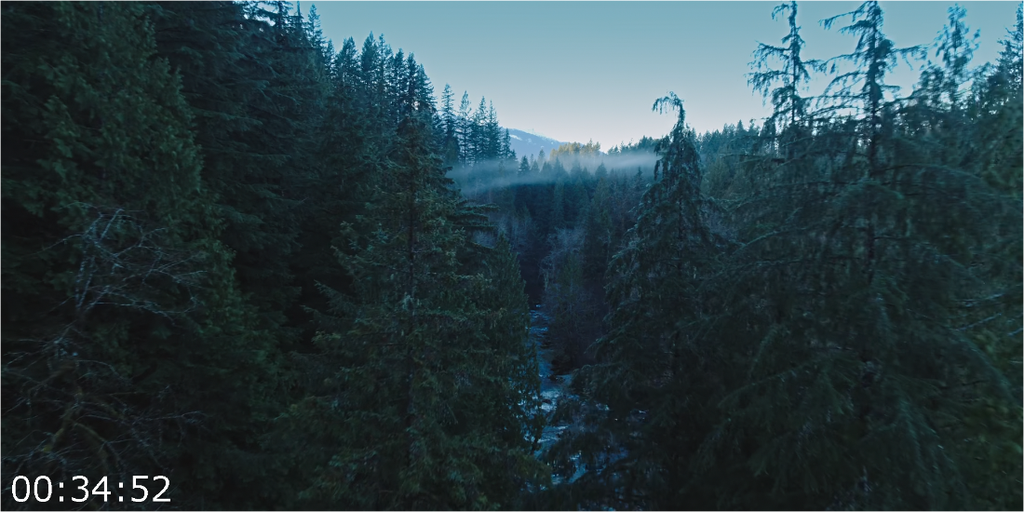 [Image: mqnqq04jt7c1.png]