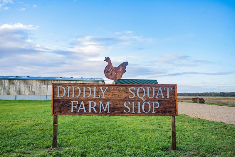 i.postimg.cc/ZYcJ9Tgv/Clarksons-farm-Diddly-squat-(2).jpg