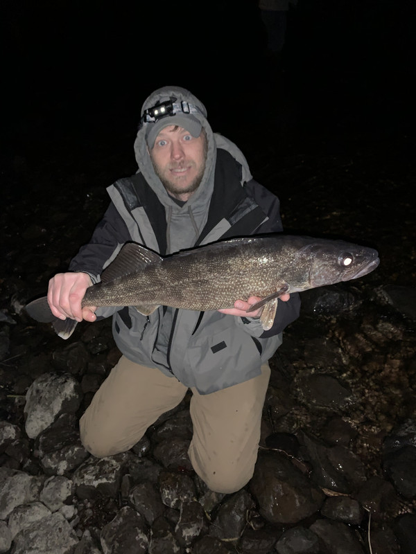 E907385F-4C5C-4B26-8D0F-F605355EB970