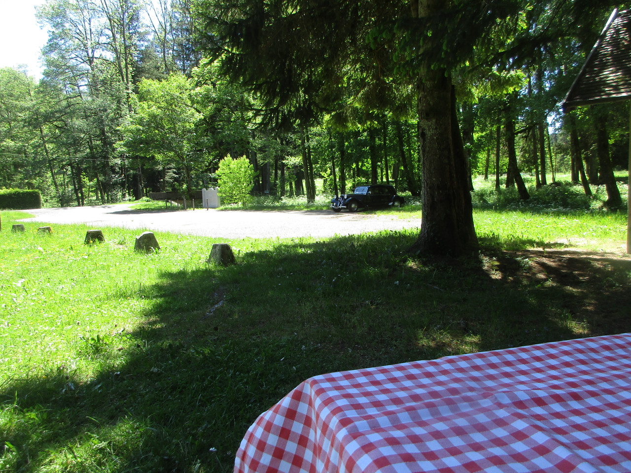 IMG 7575