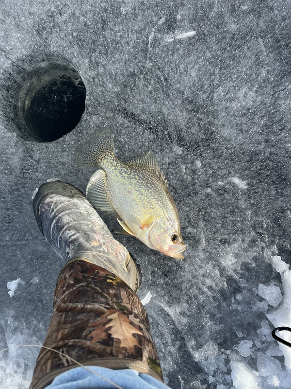 4BE78265-209C-42BD-B3AC-DFBF72E7B12B