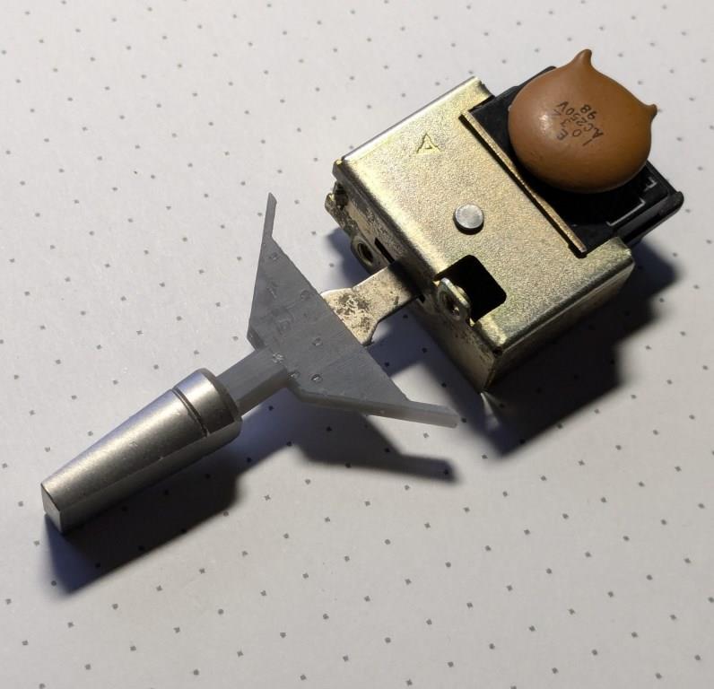 [Bild: PXL-20241101-163421172.jpg]