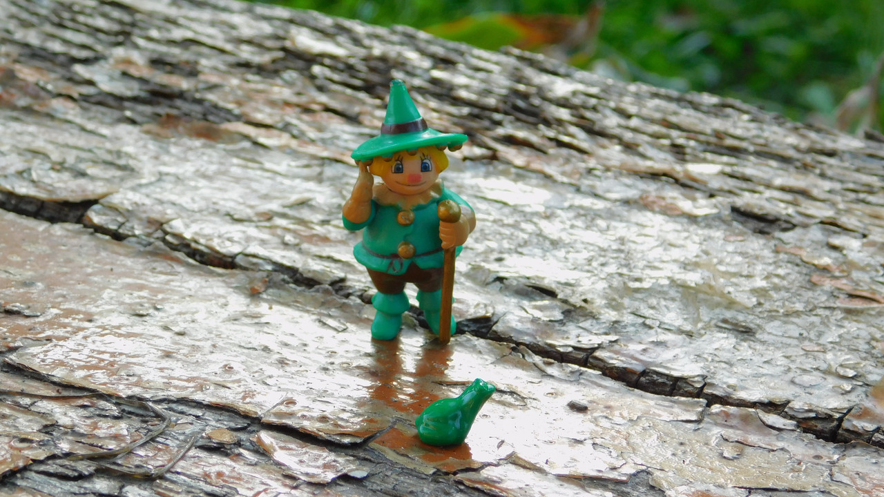 сентябрь дачно-миниатюр 2025 105