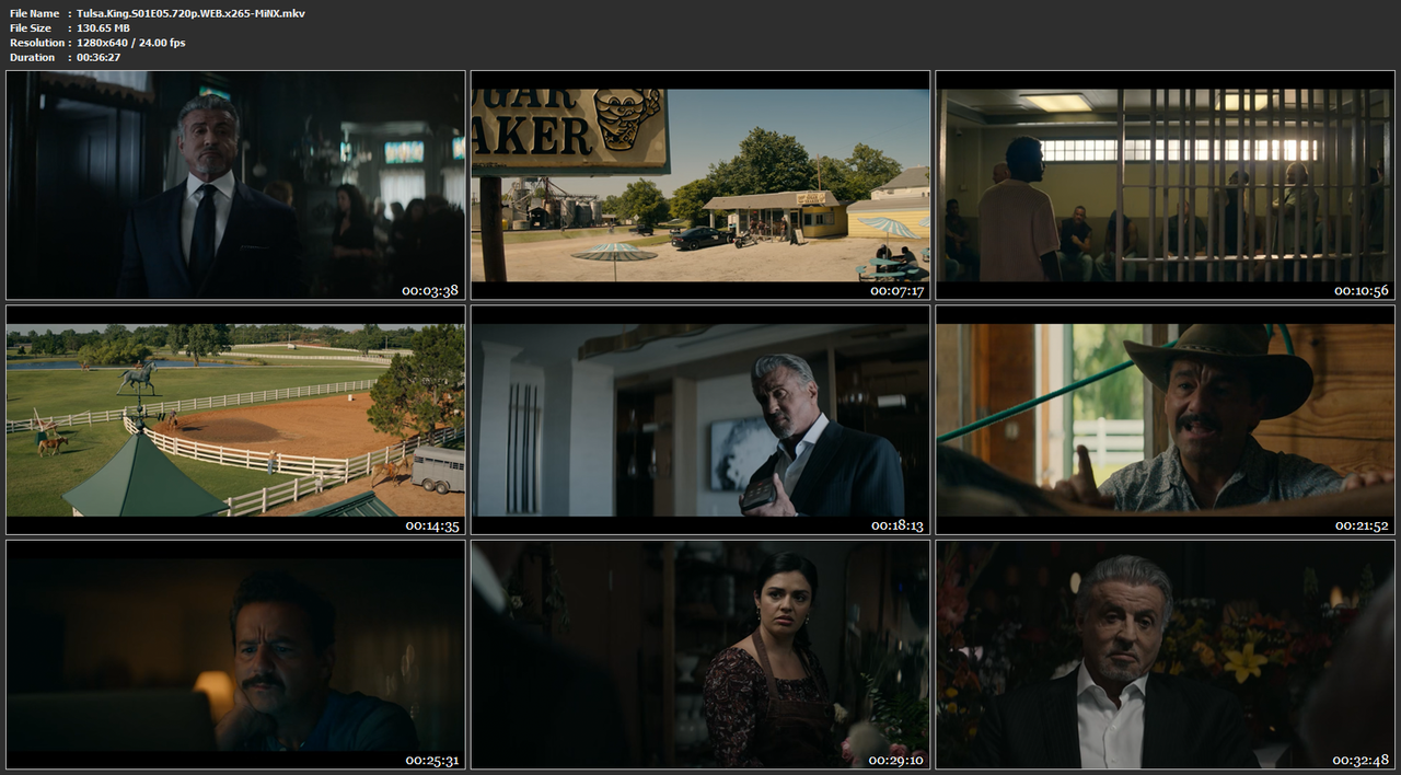 Tulsa-King-S01-E05-720p-WEB-x265-Mi-NX-mkv.png