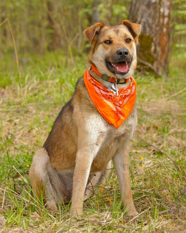 Изображение WhatsApp 2024-08-07 в 17.17.06_06cc3f89