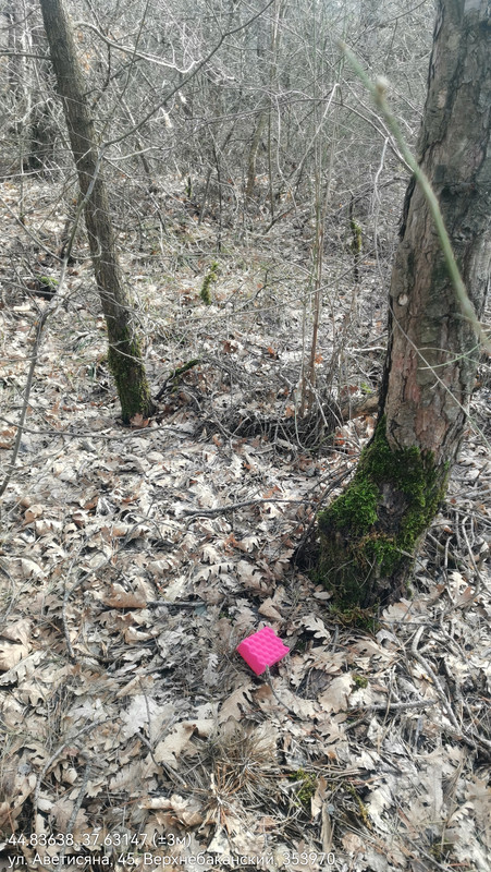 44 83638 37 63147 ( 3м) 06022026 132347