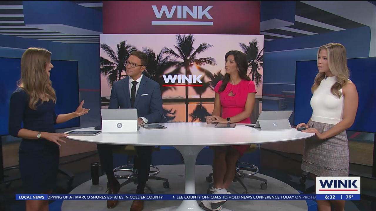 08.13 - 11.30.00 - WINK News at 6 30am  ᴺᵉʷ. Morning news..ts_snapshot_03.33.768