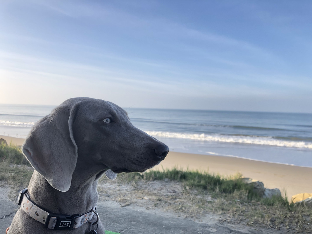 05D6839D-608A-4BB8-97FE-DB17DE997087