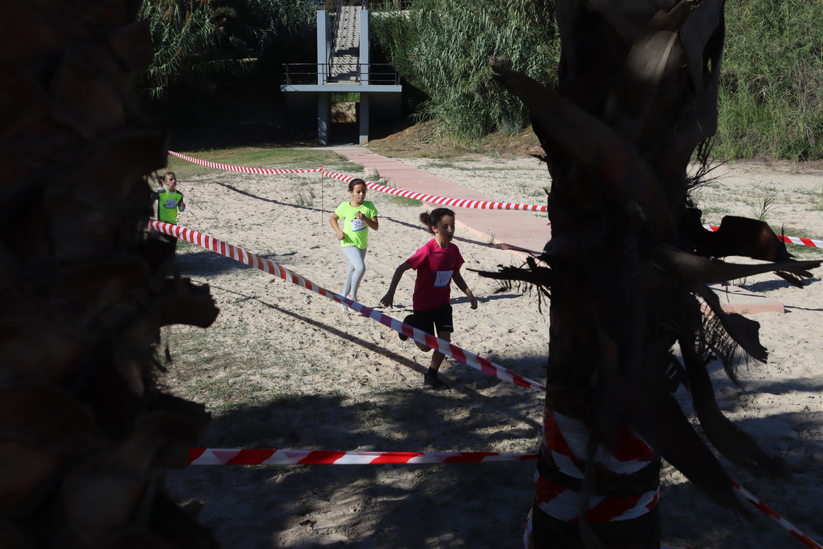 IMG-0519