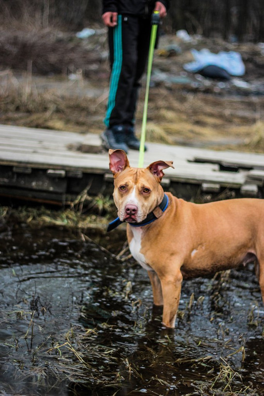 без имени-0391