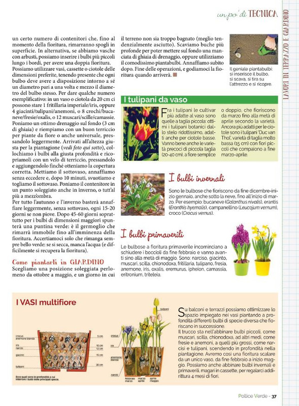 Pol Ver Set 2021 (6)