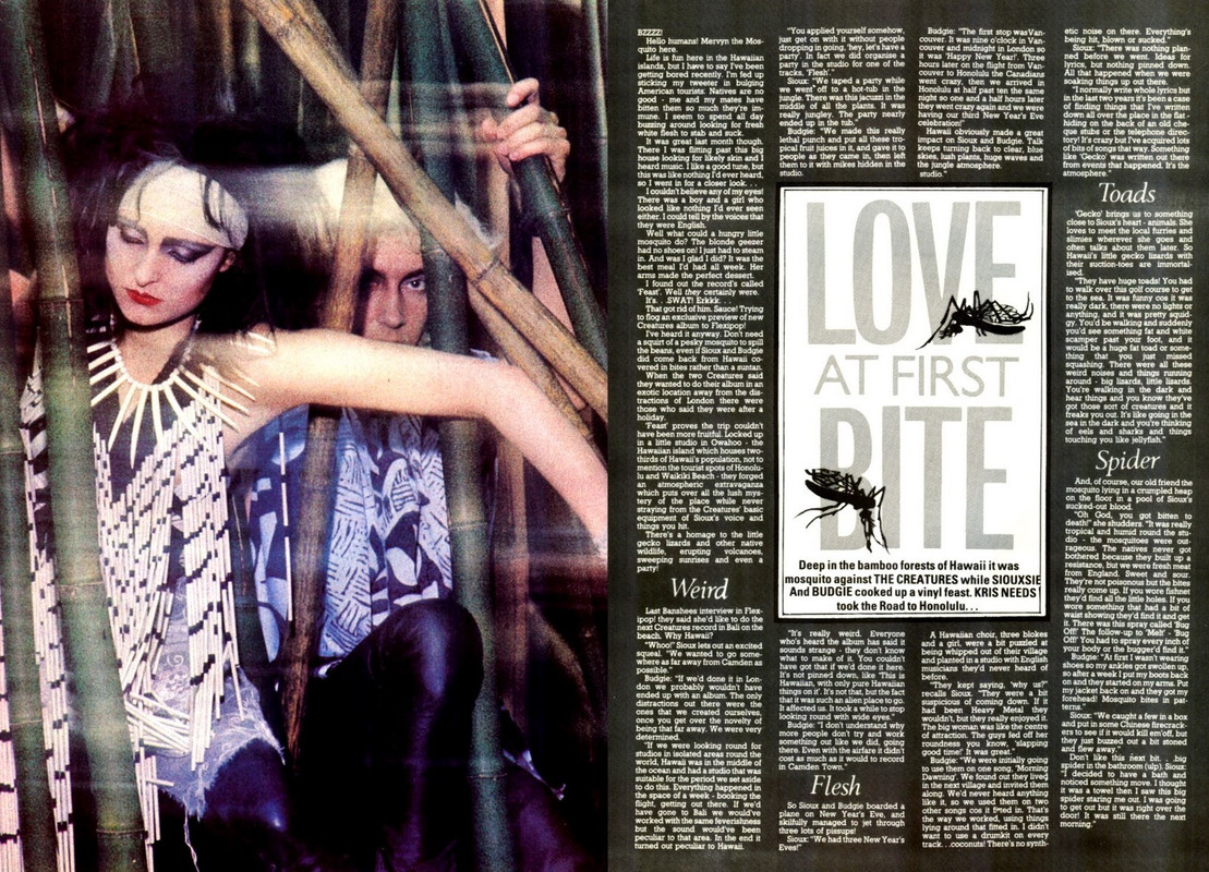 siouxsiecreatflexipop2