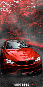 2.gif