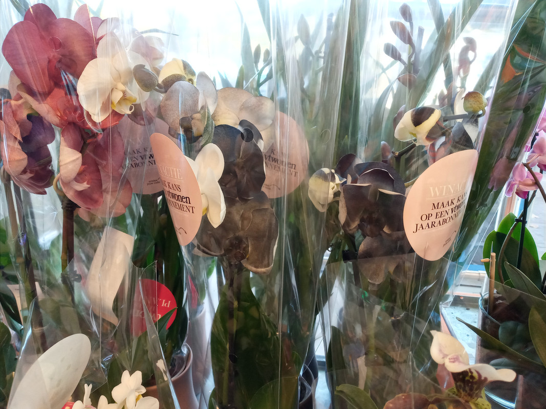 [Image: 20201022-171743.jpg]