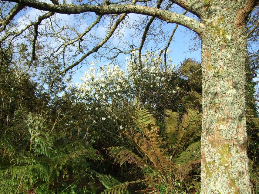 DSCF0049small