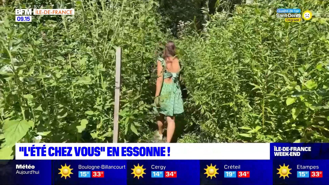 vlc-record-2022-08-13-16h22m53s-08.13 - 07.55.51-1.m4v-.mp4_snapshot_00.33_[2022.08.13_16.50.10]