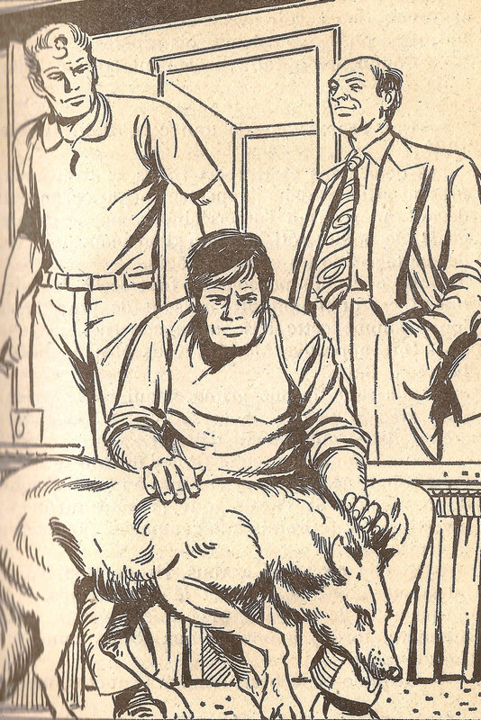wolf 013 — Postimages