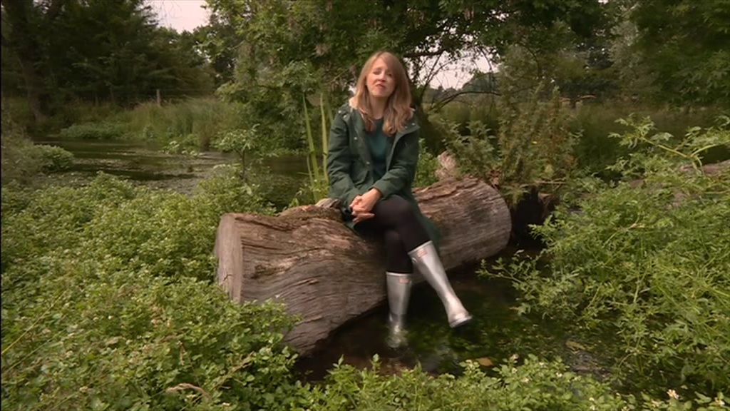 BBC London News_20210713_18301900.ts_snapshot_10.59.031