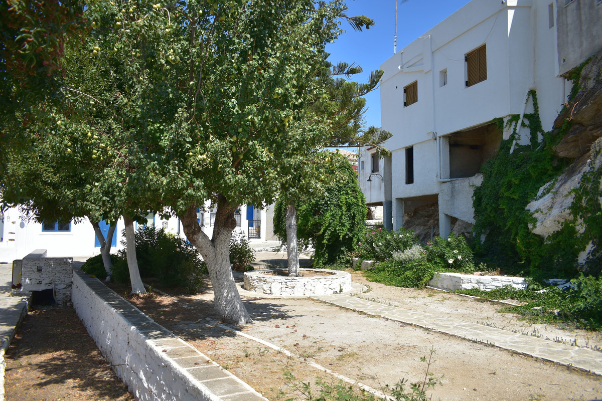 Δρυοπίδα (34)