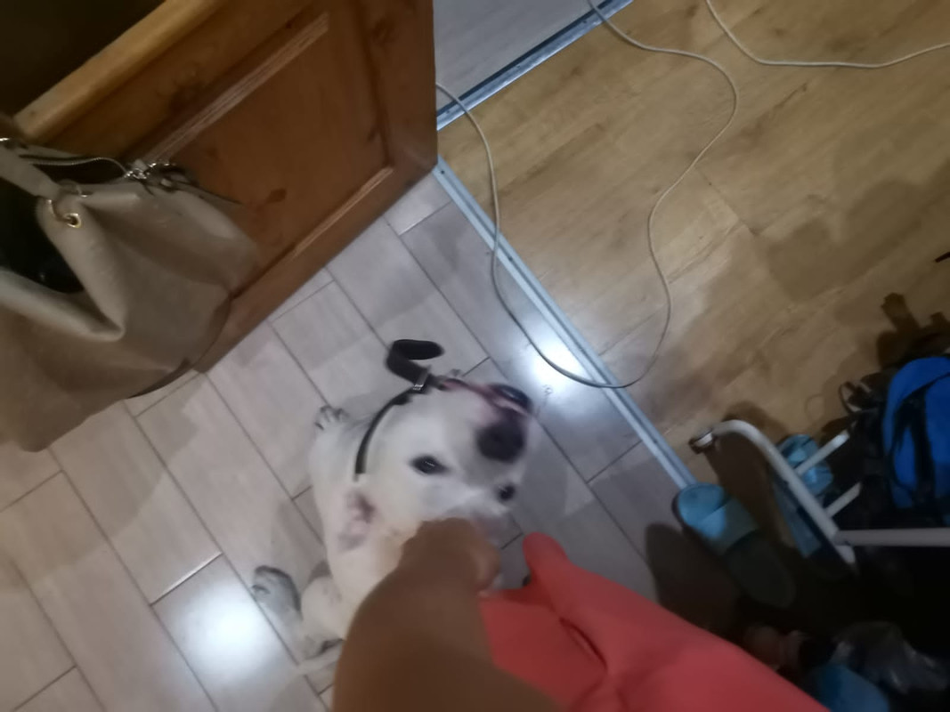 F28549AD-836D-42D2-A412-F9F0BD3F2766