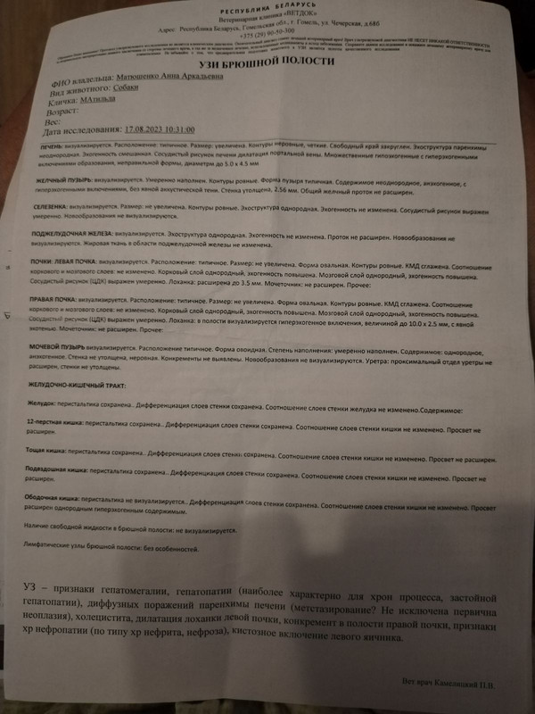 IMG-5634b56c94fe7b973a9fc563091967ba-V