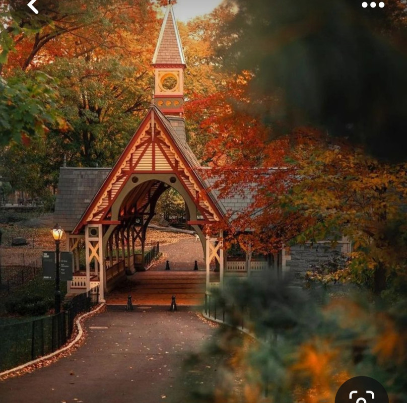 Screenshot_20231201_000421_Pinterest