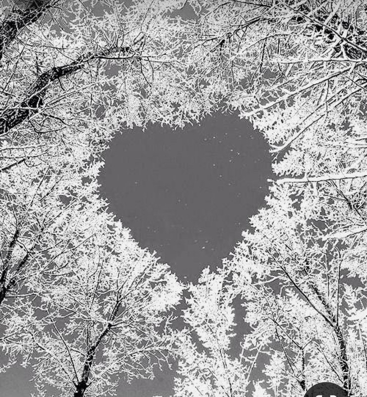 Screenshot_20240211_232722_Pinterest